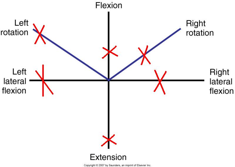 lumbar ROM2.JPG